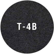 t-4b